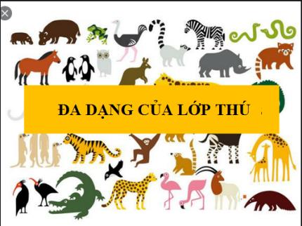 Chuyên đề Đa dạng của lớp thú